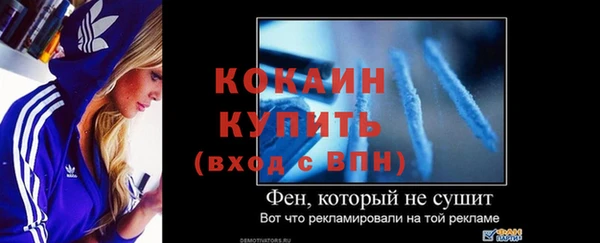 сатива Богородск
