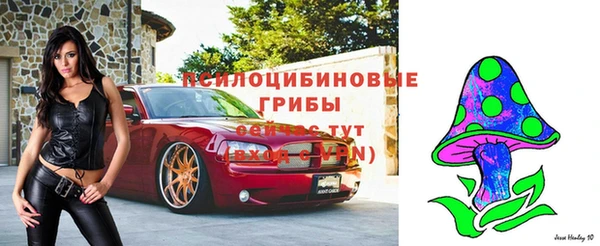 сатива Богородск