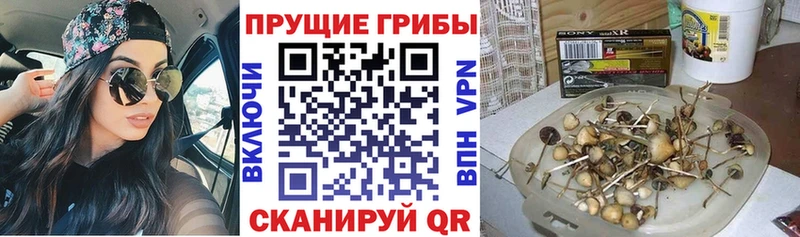 Псилоцибиновые грибы прущие грибы  Короча 